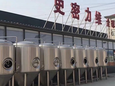 舞钢精酿啤酒设备厂—如何判断精酿啤酒设备的密封件需要更换？